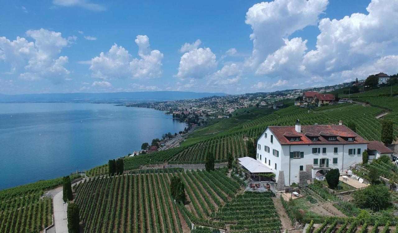 Domaine De La Crausaz Grandvaux Eksteriør billede