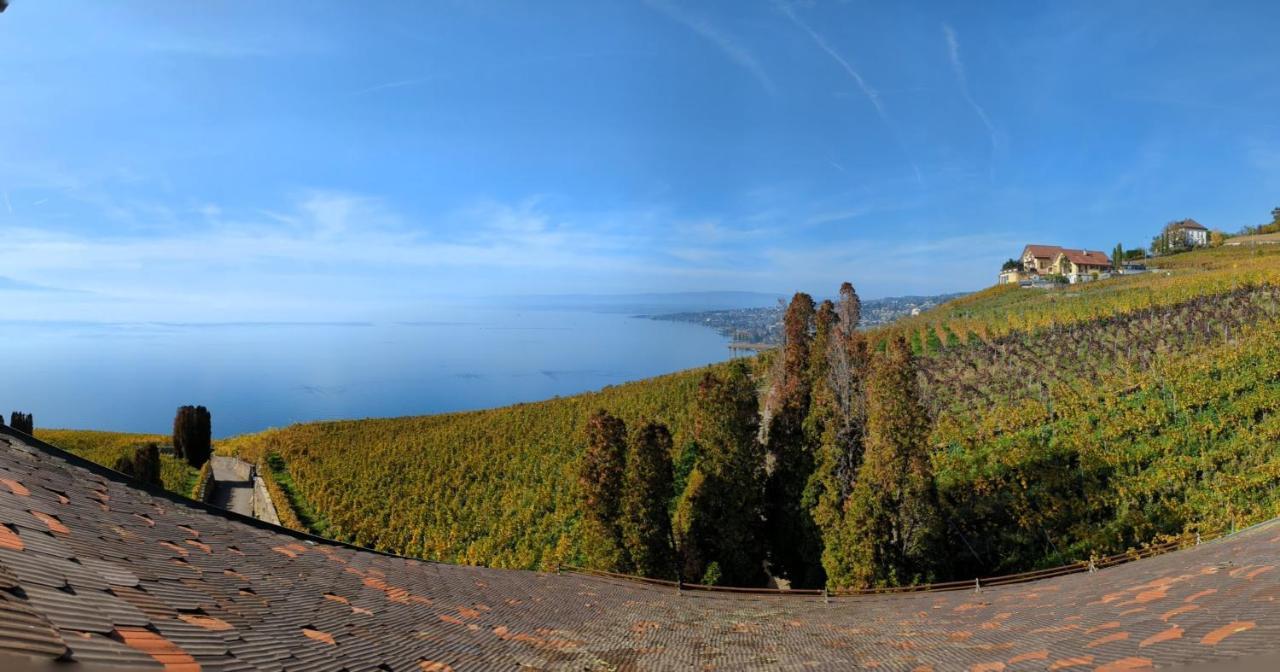 Domaine De La Crausaz Grandvaux Eksteriør billede